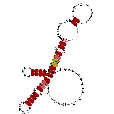 secondary structure