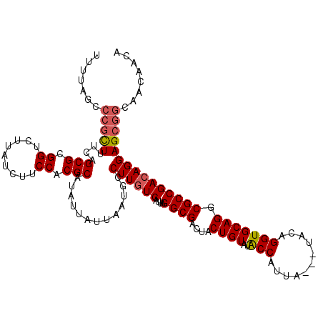 secondary structure