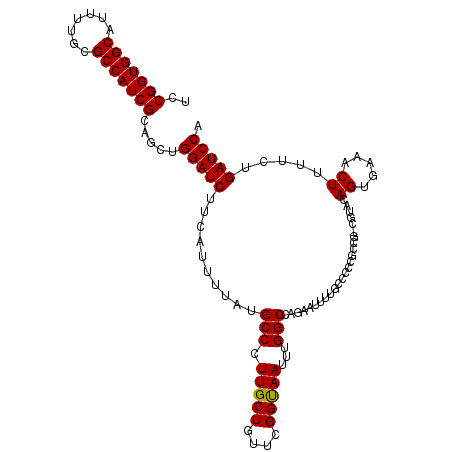 secondary structure