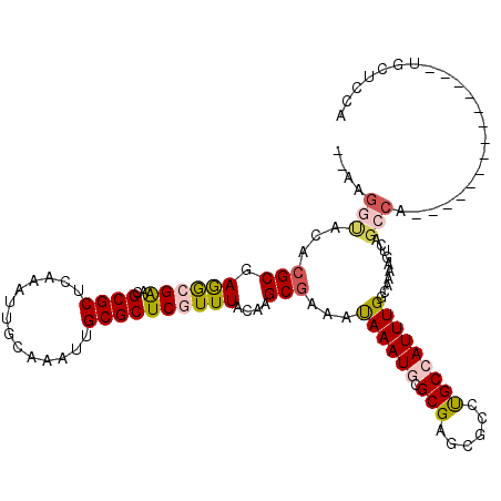 secondary structure
