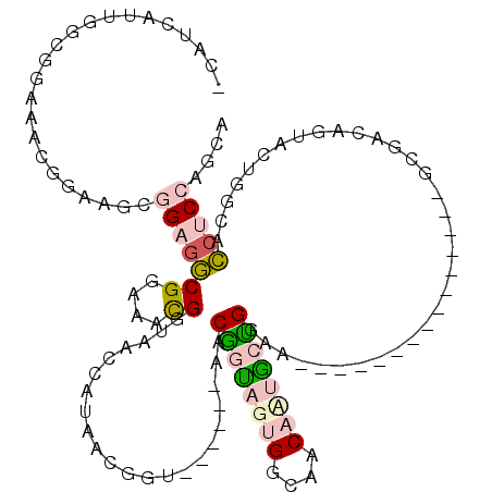 secondary structure