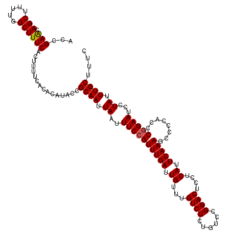 secondary structure