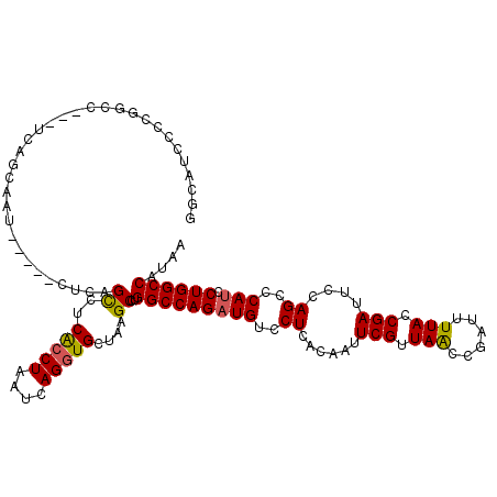 secondary structure