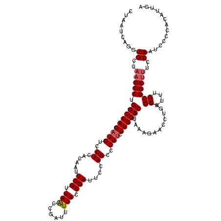 secondary structure