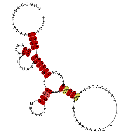 secondary structure