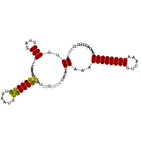 secondary structure