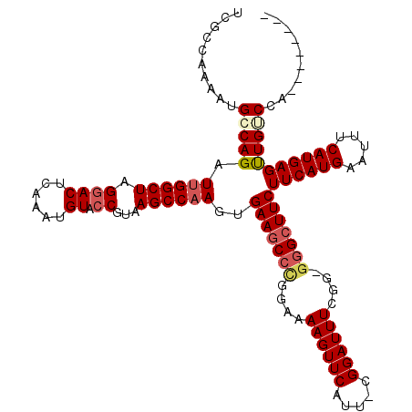 secondary structure