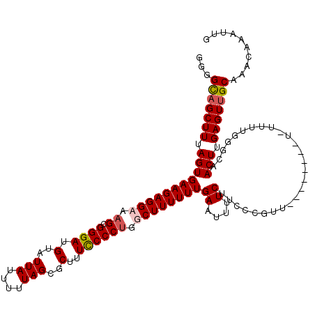 secondary structure