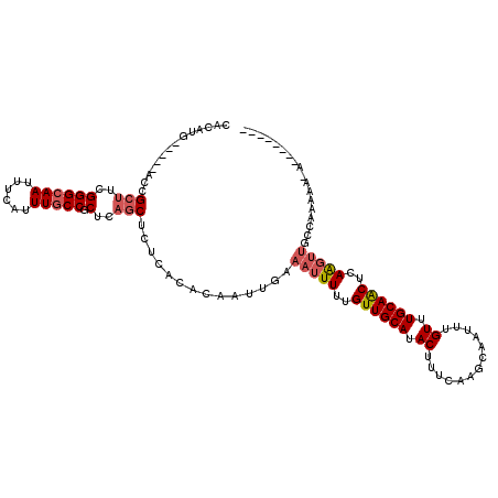 secondary structure