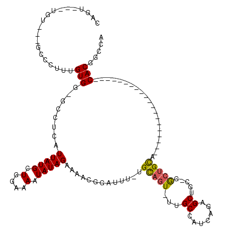secondary structure
