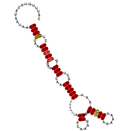 secondary structure