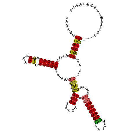 secondary structure