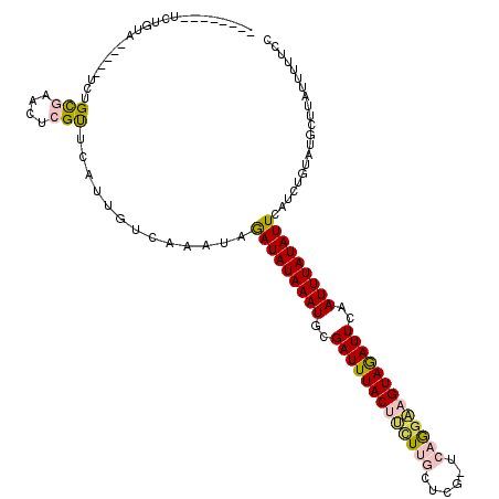 secondary structure
