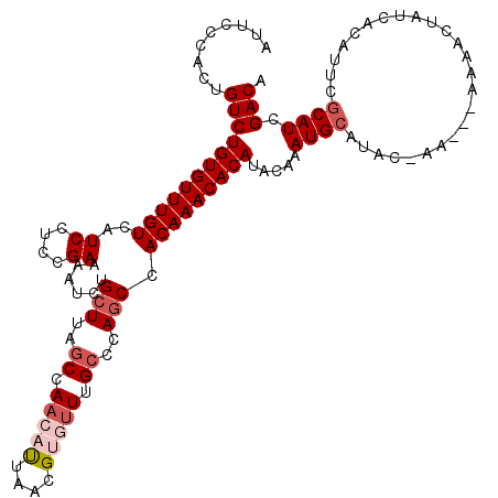 secondary structure