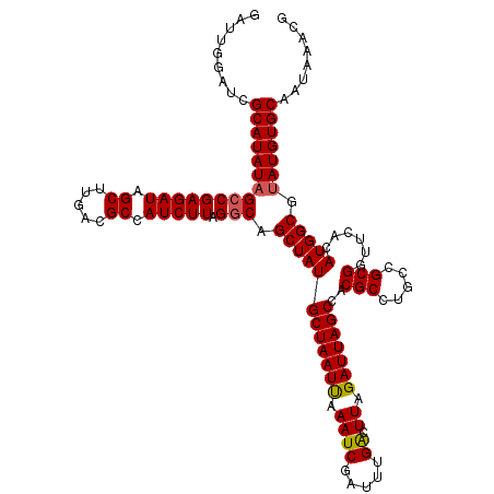 secondary structure