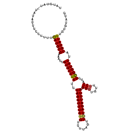 secondary structure