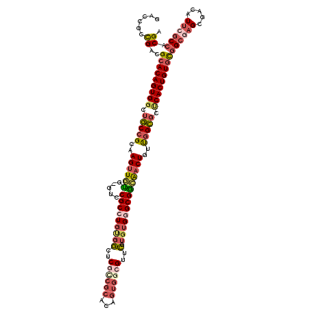 secondary structure