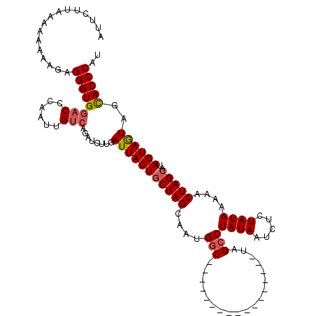 secondary structure