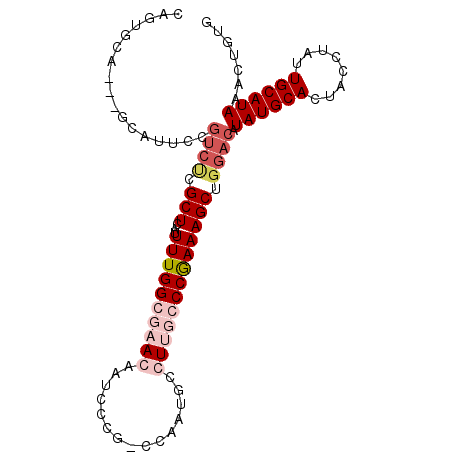 secondary structure