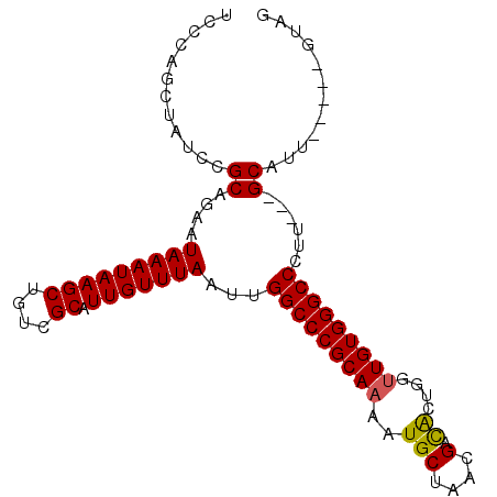 secondary structure