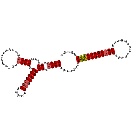 secondary structure