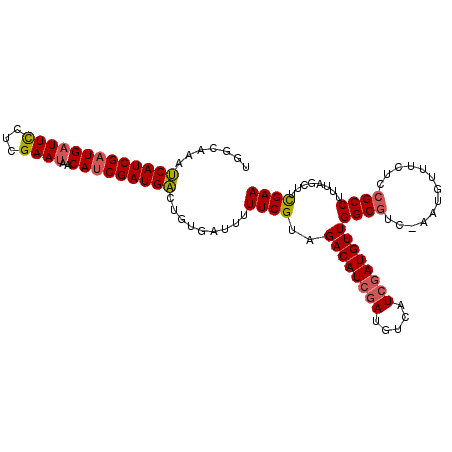 secondary structure