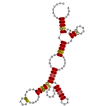 secondary structure