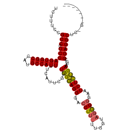 secondary structure