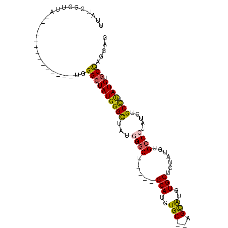 secondary structure
