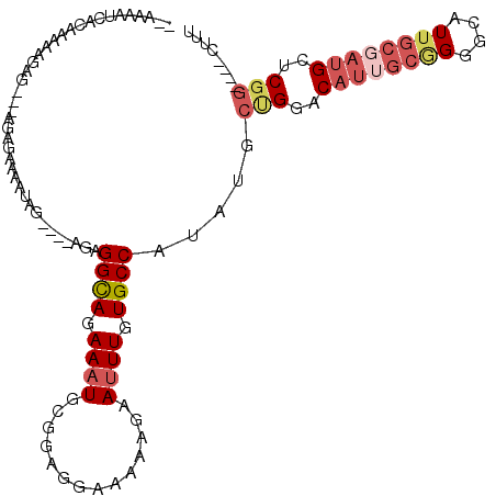 secondary structure