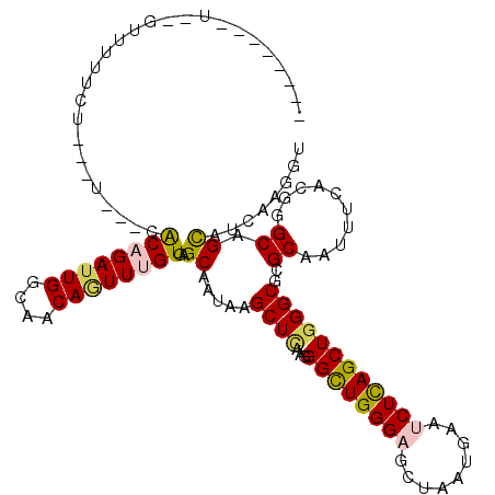 secondary structure