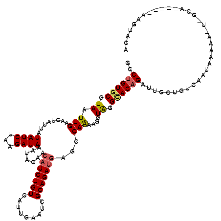 secondary structure