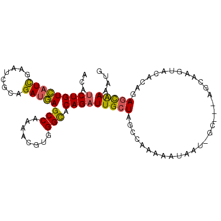 secondary structure