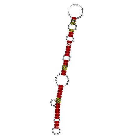 secondary structure