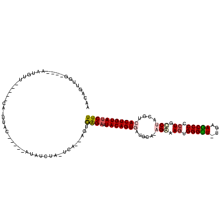 secondary structure