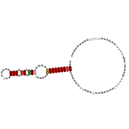 secondary structure