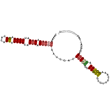 secondary structure