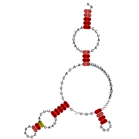 secondary structure