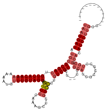 secondary structure