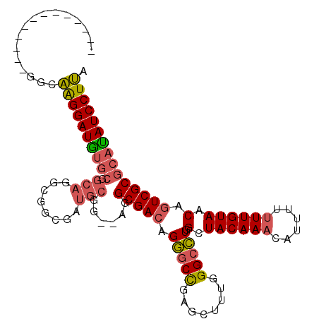 secondary structure