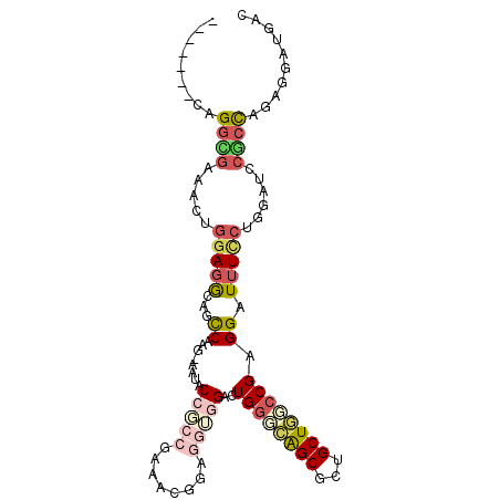 secondary structure