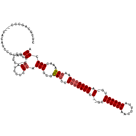 secondary structure