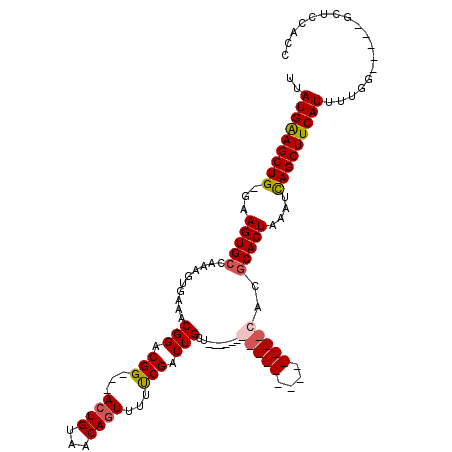 secondary structure