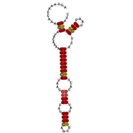 secondary structure