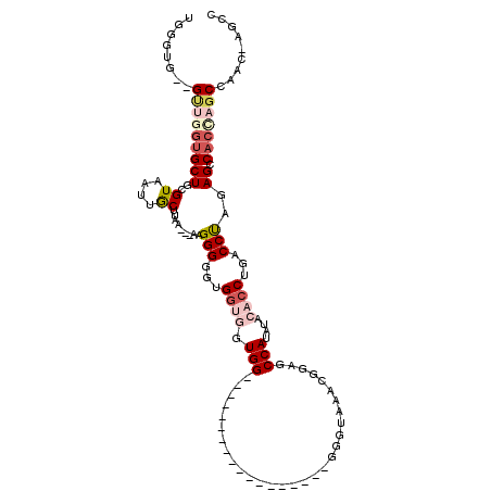 secondary structure