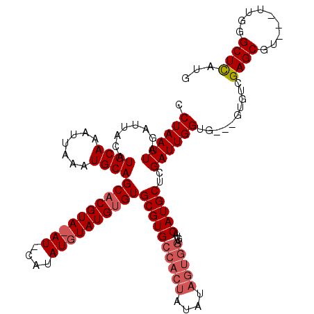 secondary structure