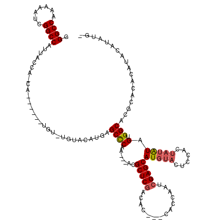 secondary structure