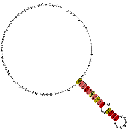 secondary structure