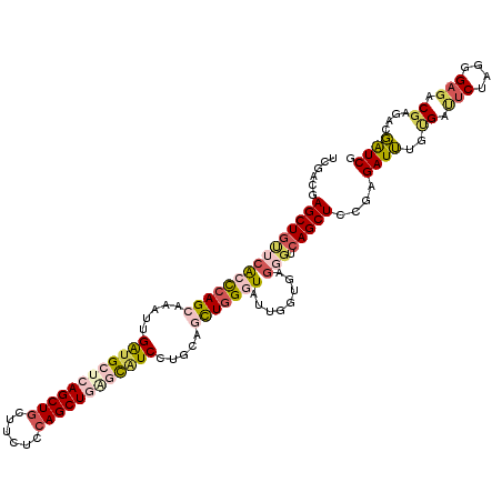 secondary structure