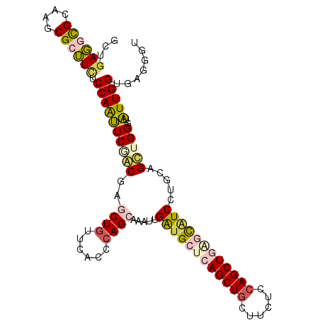 secondary structure